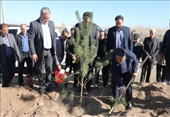 گام بلند برای افزایش سرانه فضای سبز در سراسر استان