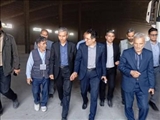 خرید تضمینی گندم در هشت مرکز شهرستان اردبیل آغاز شد