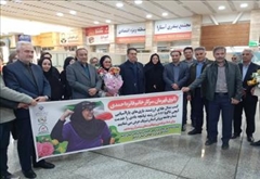 استقبال فرماندار اردبیل از فائزه احمدی، افتخارآفرین پاراآسیایی اردبیل